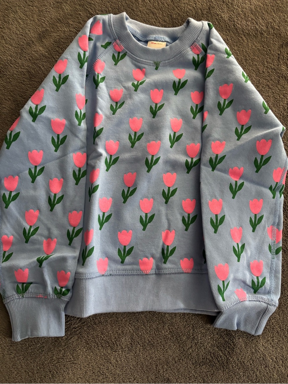 Hanna Andersson Light Blue Sweatshirt with Pink Tulip Print